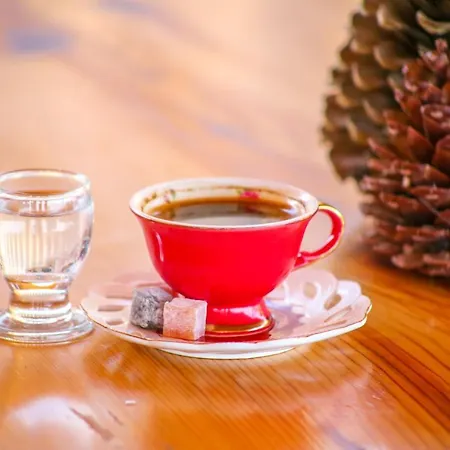 Alina Ξενοδοχείο 3*