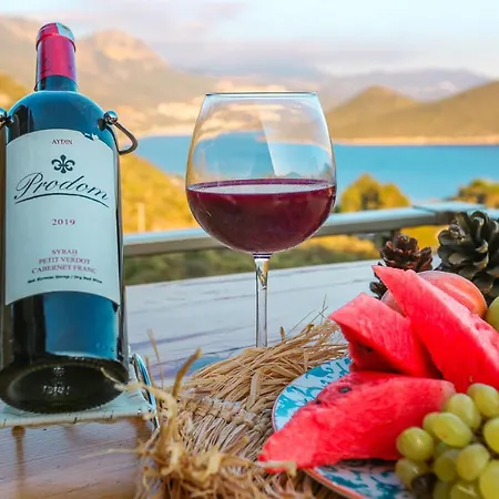 Ξενοδοχείο Alina