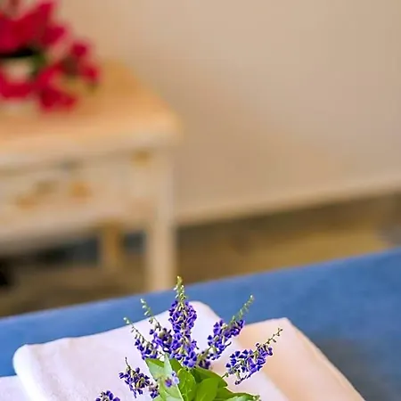 Hotel Alina